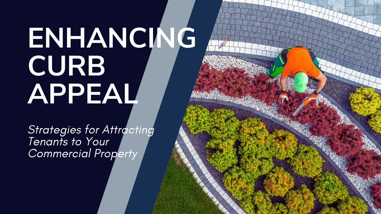 Enhancing Curb Appeal: Strategies for Attracting Tenants to Your Commercial Property
